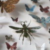 Framed Paper Entomology by Helen Ward 4
