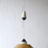 Rare 1950s Fibreglass Ceiling Light by Phillips 5